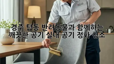 경주 탑동 반려동물과 함께하는 깨끗한 공기, 실내 공기 정화 청소